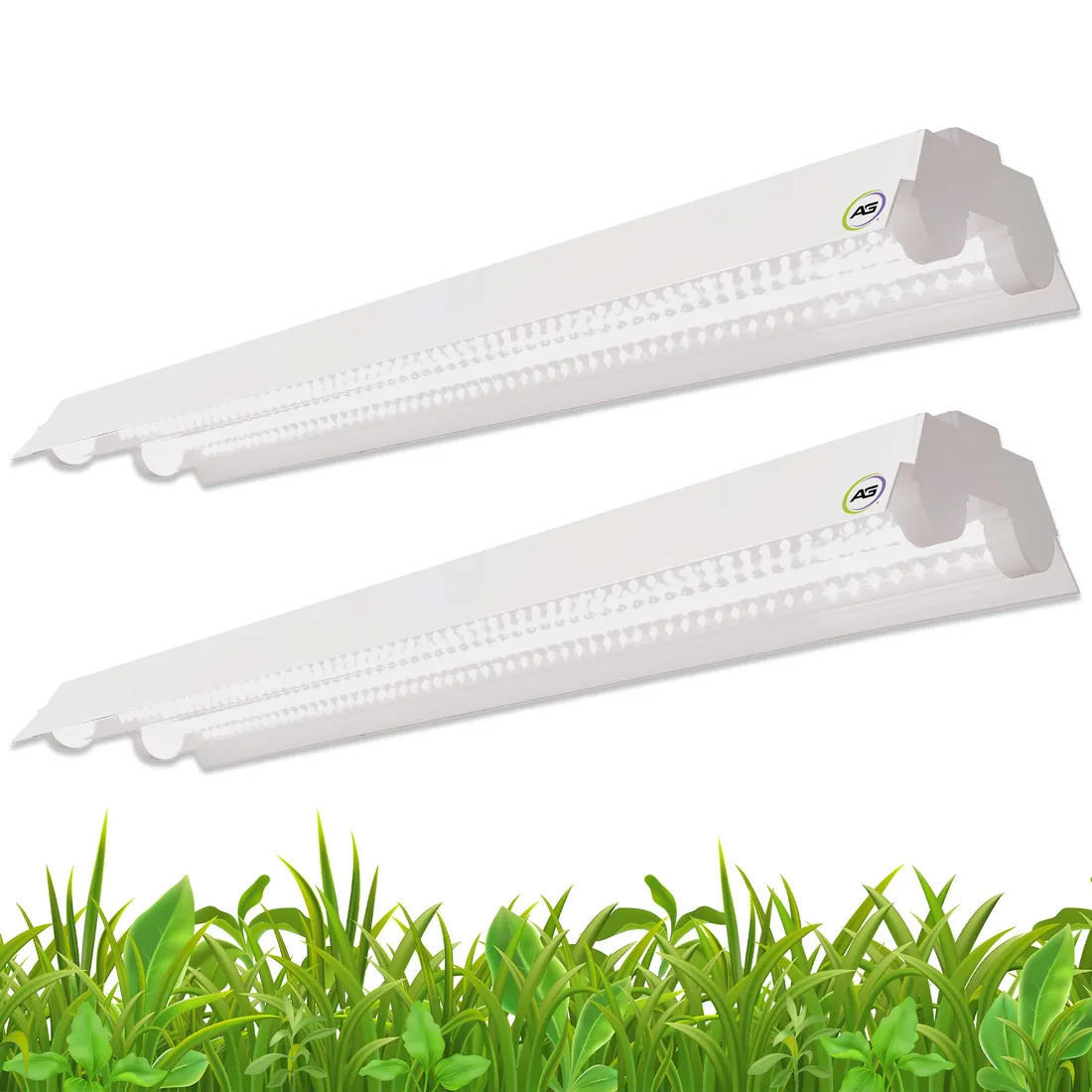 Indoor Vertical Farms & Hydroponic Systems