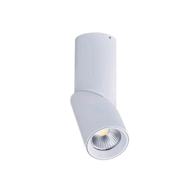 Down Lights Led Dimmable Exterior Adjustable 7W/12W view 5