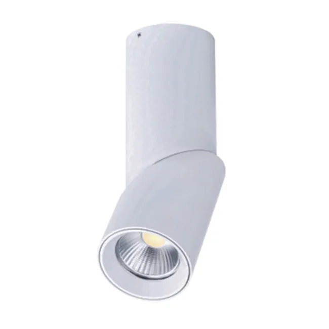 Down Lights Led Dimmable Exterior Adjustable 7W/12W view 2