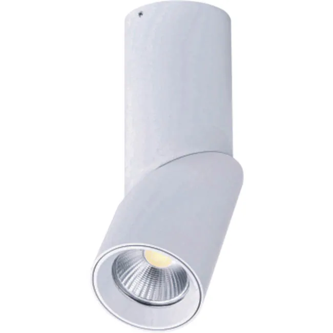 down lights led dimmable exterior adjustable 7W/12W