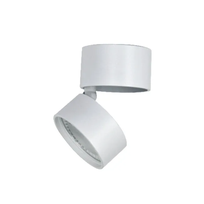 Led Downlights Adjustable Bedroom 7W/12W/18W view 4