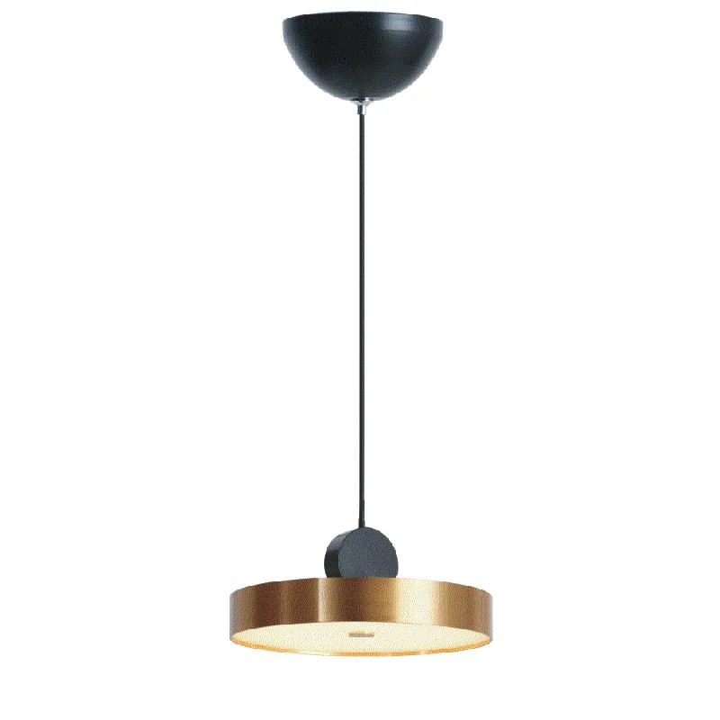 Kitchen Pendant lighting,Pendant Lamp 10W/15W view 1