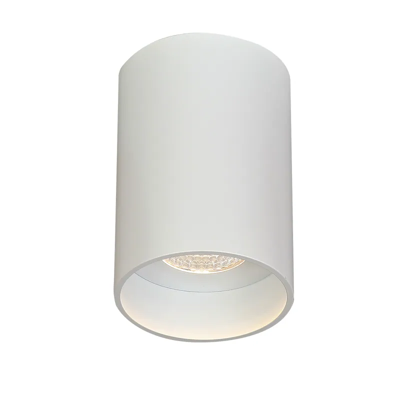 COB Led Downlight Surface Mount, Round Ceiling Lights for Living Room DL75 view 3