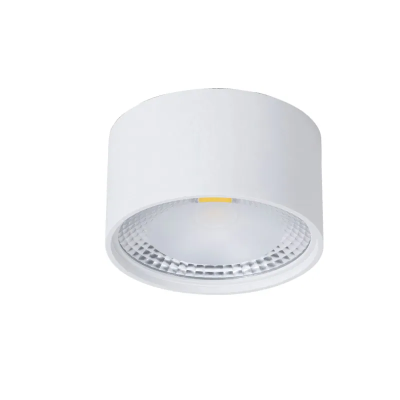 COB led down light retrofit surface mount, round Ceiling Lights for Living room DL73