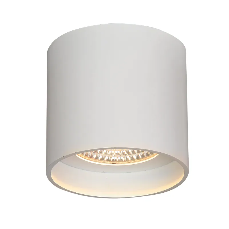 COB Led Downlight Surface Mount, Round Ceiling Lights for Living Room DL75 view 6