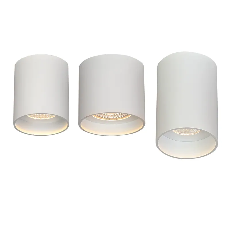 COB Led Downlight Surface Mount, Round Ceiling Lights for Living Room DL75 view 2