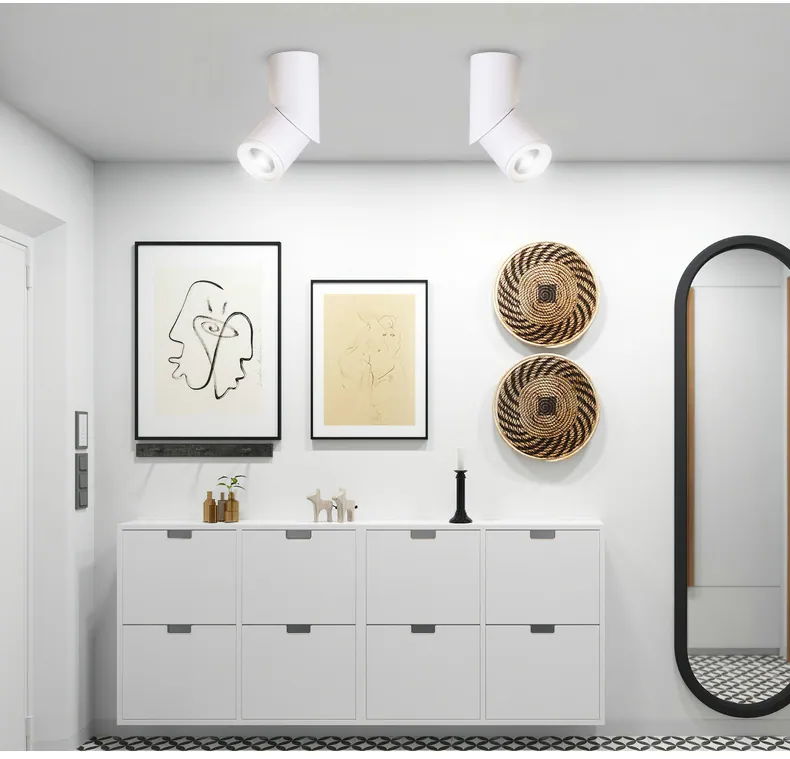 Down Lighting Led Adjustable view 5