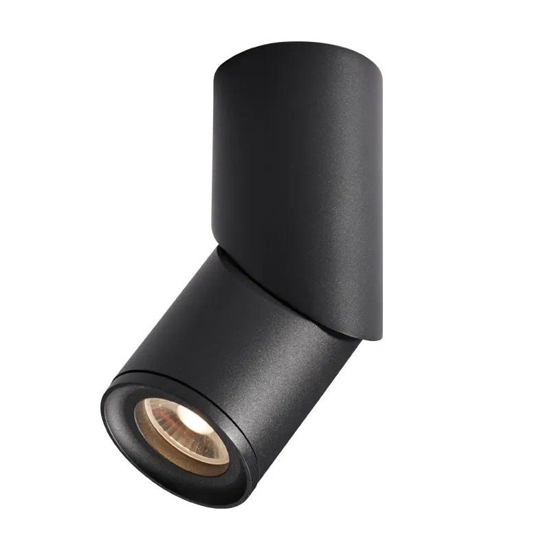 Down Lighting Led Adjustable view 6