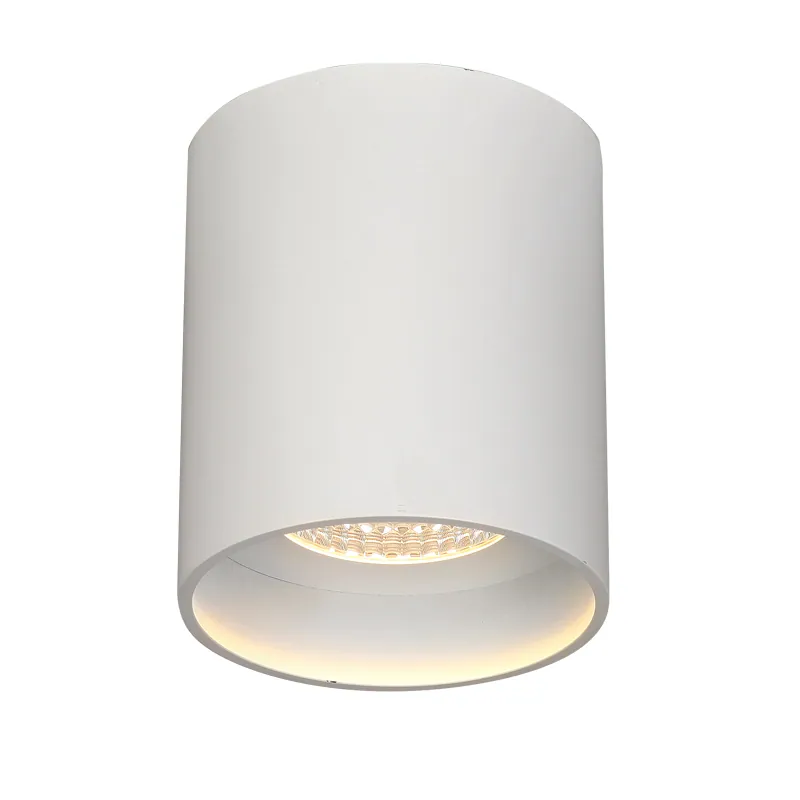 COB Led Downlight Surface Mount, Round Ceiling Lights for Living Room DL75 view 5