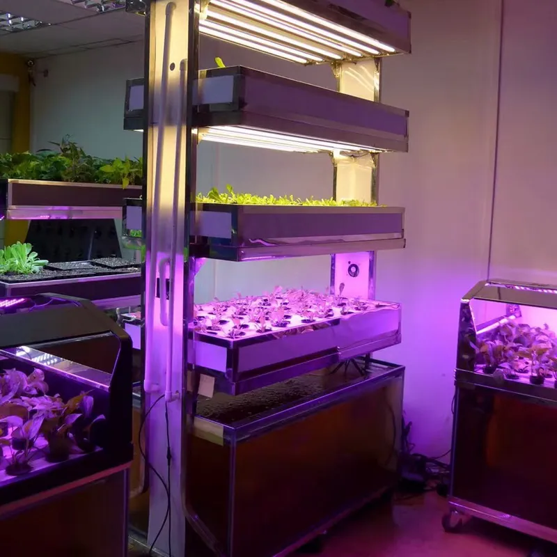 T8 LED Grow Lights,New Energy-Efficient Retrofit LED Bulbs to Replace T8 Fluorescent Tubes,Red 660nm,Blue 460nm view 1