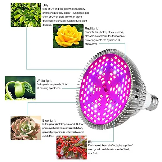 50W 80W LED Grow Light Bulb, Grow Lamp for Indoor Plants, Plant Light Bulb for Indoor Garden Greenhouse and Hydroponic Plants Full Spectrum view 3