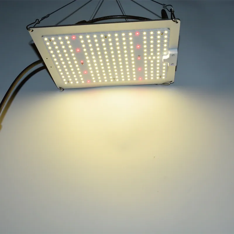 Quantum Board Grow Light 150W 300W 480W 720W view 3