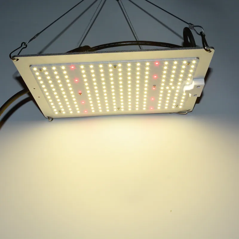 LED Grow Light for Plants Panel Quantum 100W – 600W view 4