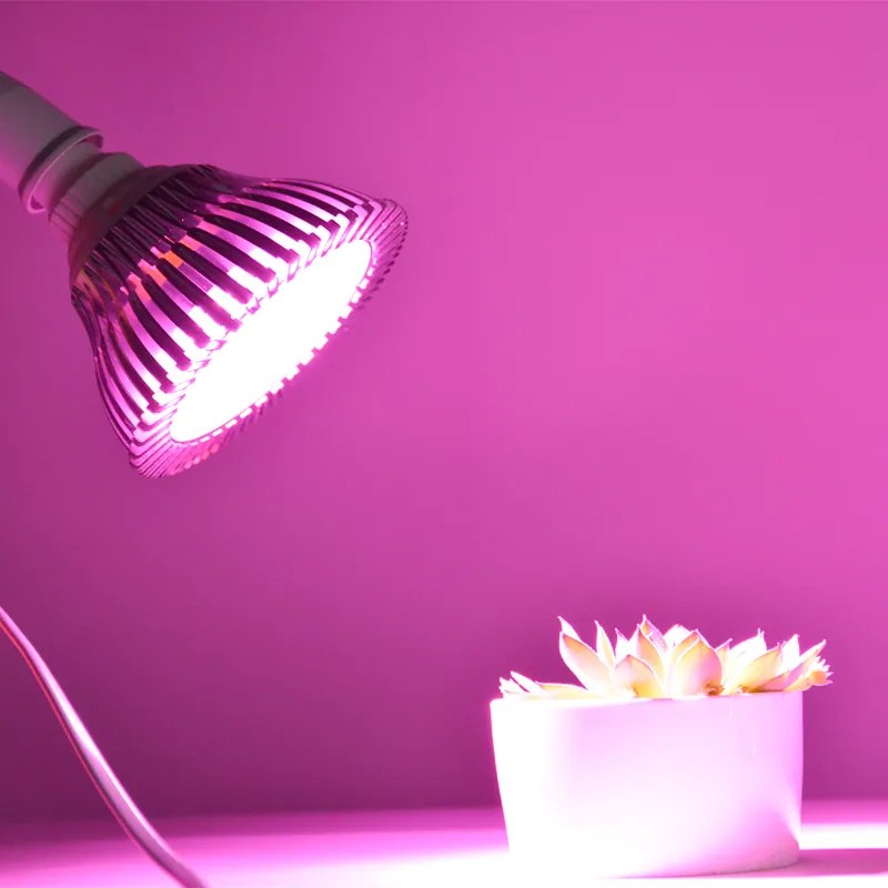 Full Spectrum Led Grow Light Bulb Flower Hydroponic Plants Vegetables Growing Lamps Office Plants Home Planting Led Bulbs view 1