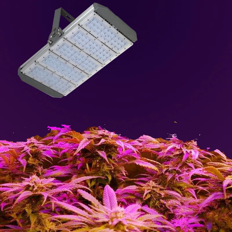 LED Grow Light Full Spectrum 300W,ip65 Outdoor High Bay Led Grow Fixture for Greenhouses,growth Chambers view 3
