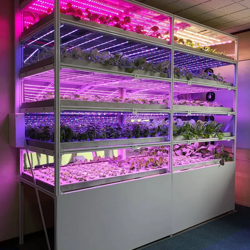 LED Plant Grow Light Lamp 14.4W 60led/m Led Strip Light DC12V view 5