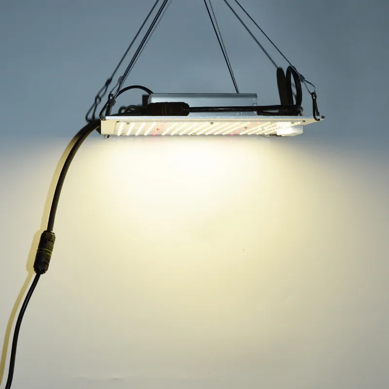 LED Grow Light for Plants Panel Quantum 100W – 600W view 2