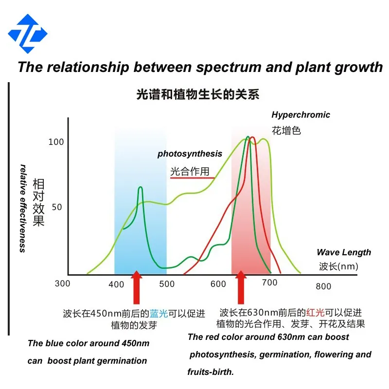 Spectral range effects on plant physiology