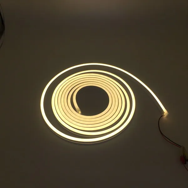 Led Neon Flex RGB,led Neon Lights 12V/24V view 1
