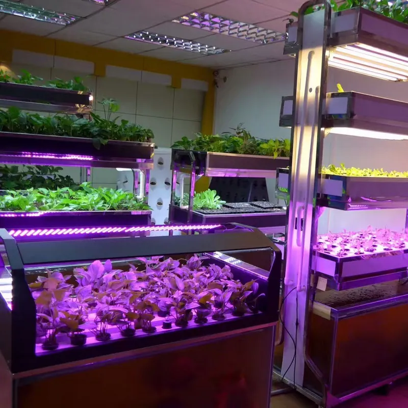 LED Plant Grow Light Lamp 14.4W 60led/m Led Strip Light DC12V view 4