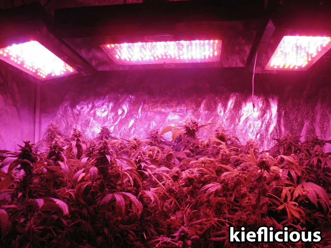 Yields!