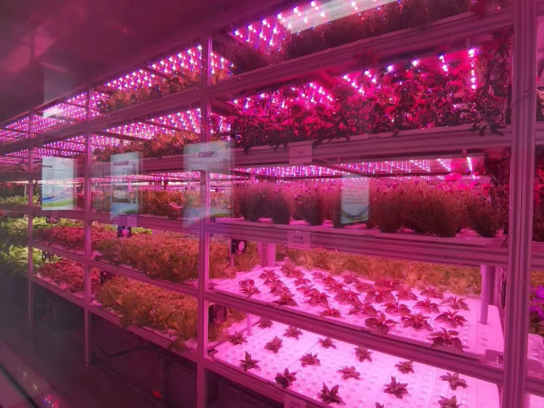 T8 led grow tube light