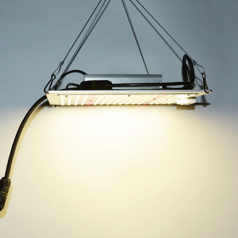 Quantum Board LED Grow Light Full Spectrum 100W-600W view 3