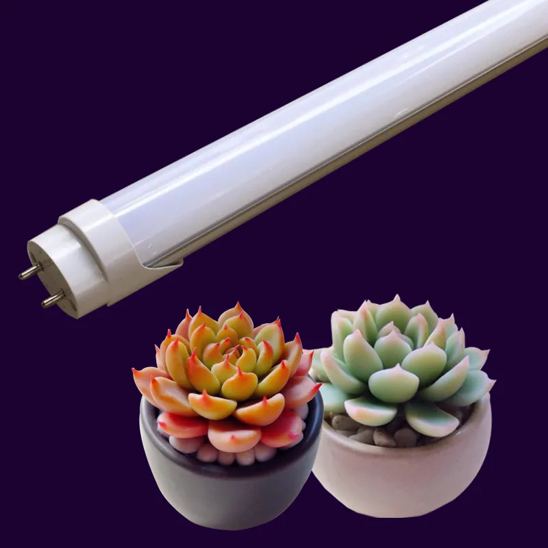 High-intensity T8 LED Grow Light,full spectrum day light,50% More Light Brings Plants all the way from Seed to Flower to Fruit