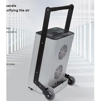 Industry digital 40G ozone generator