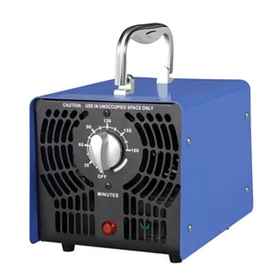Portable car ozone purifier