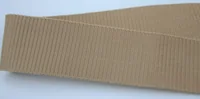Close-up of a wide beige woven nylon webbing strap laid across a plain light background