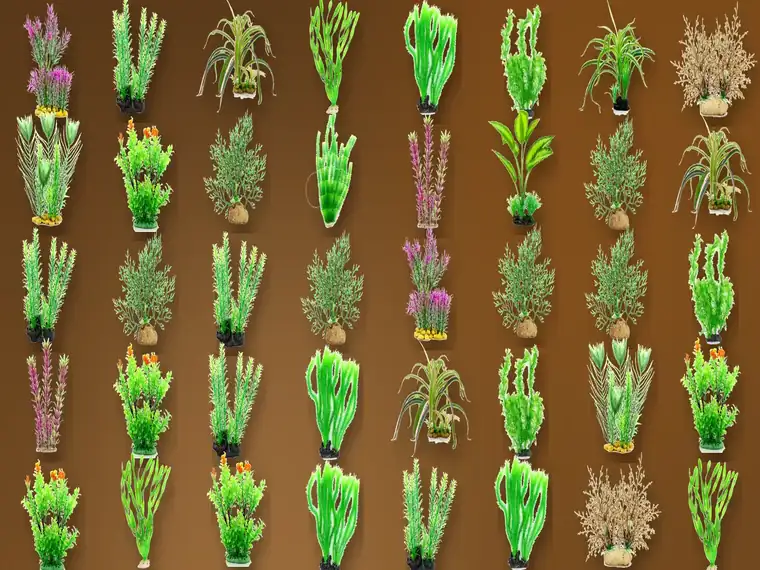 Aquarium Plants from the Alpethome catalogue