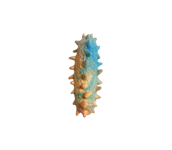 DT2355 Rubber Dog Toy from Alpethome — rubber dog toy item DT2355