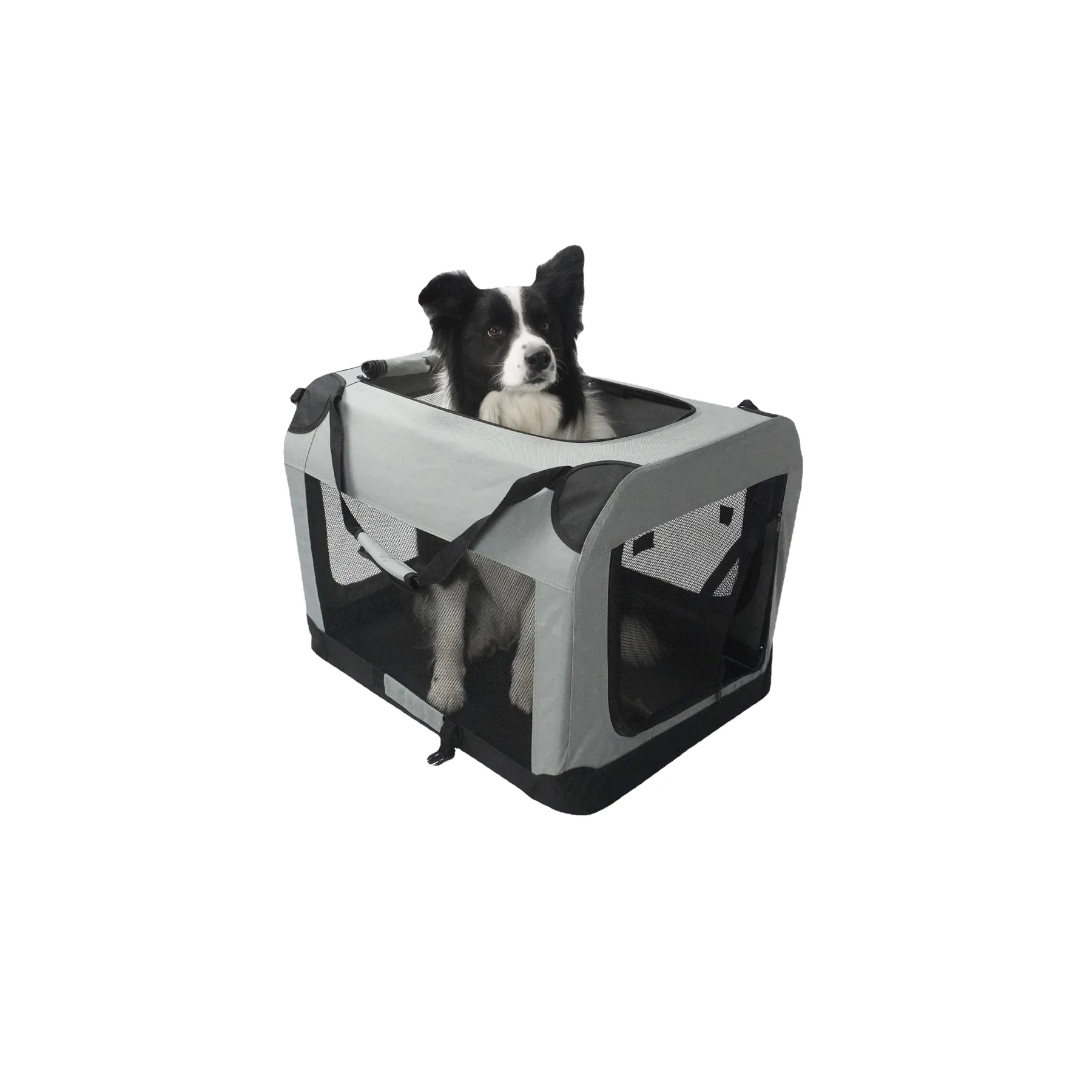 Pet Carriers category thumbnail
