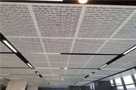 Lightweight Perforated Aluminum Decorative Wall Panel for Curtain Wall Decoration