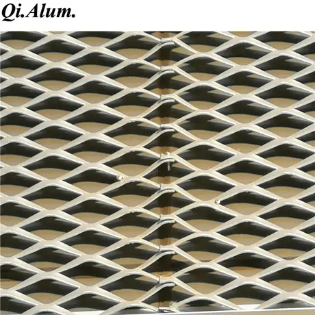 China Architectural Decorative Different Hole Shapes Perforated Wire Mesh Panels