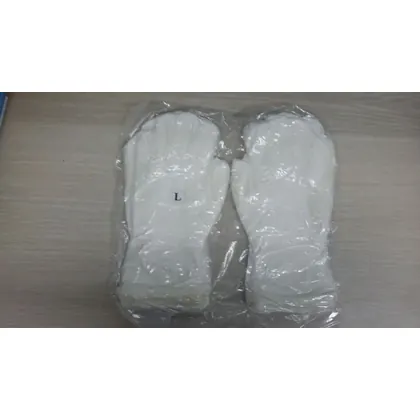 Cleanroom Gloves view 3