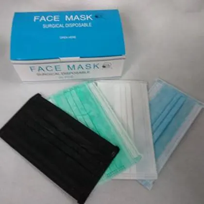 Face Mask view 2