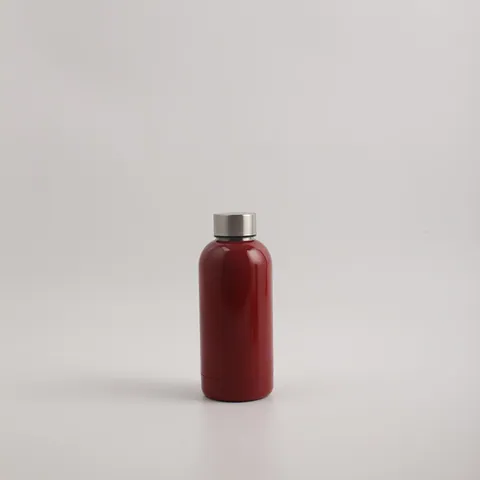 Stainless steel water bottle — Stainless Steel Sport Bottle from Ami Houseware photo 2