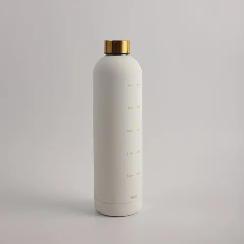 Stainless steel water bottle — Stainless Steel Sport Bottle from Ami Houseware