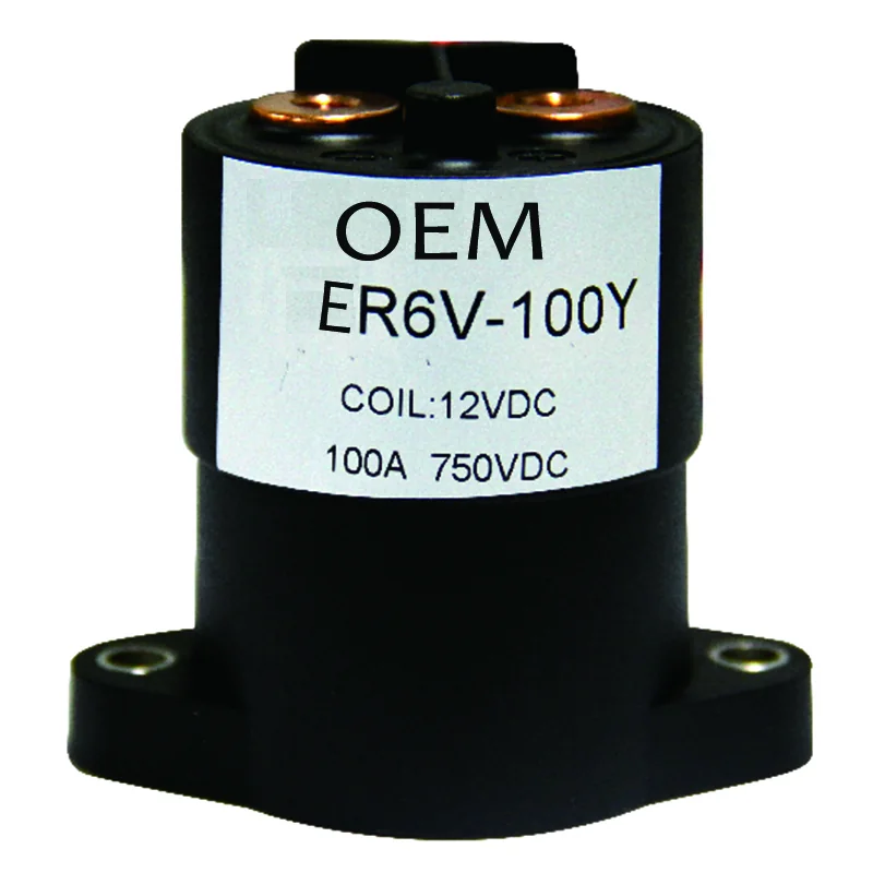 AER6V-100Y DC EV Relay