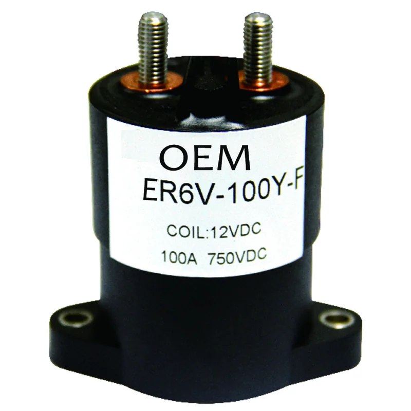 AER6V-100Y/F DC EV Relay