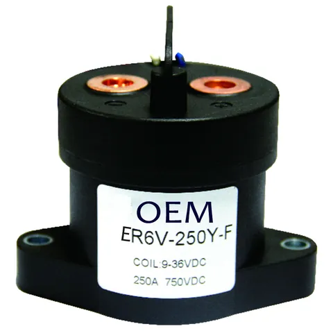 AER6V-250Y-F DC EV Relay