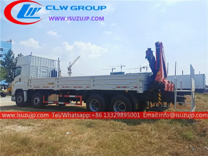 12 Wheel ISUZU GIGA Palfinger Knuckle Crane Lorry for Sale view 3
