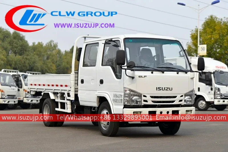 ISUZU 100P Double Cabin Small Cargo Truck view 3
