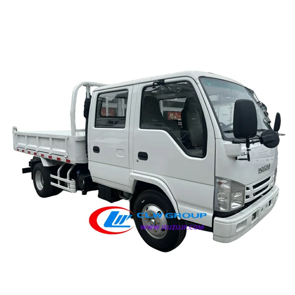 ISUZU 100P Double Cabin Small Mining Dump Truck view 5