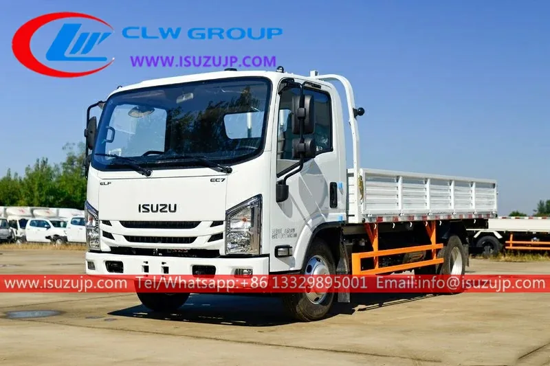 ISUZU EC5 3ton Goods Carrier Truck