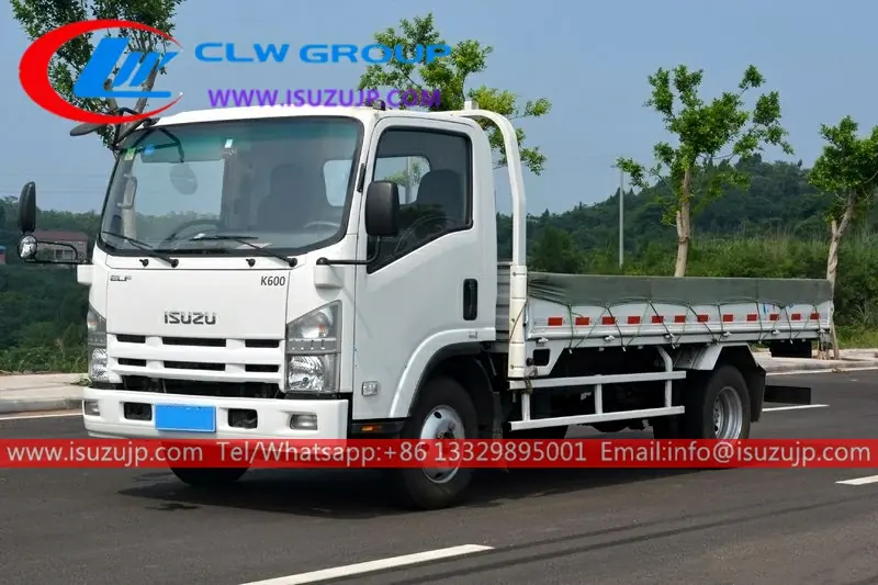 ISUZU KV600 6ton Cargo Lorry view 3