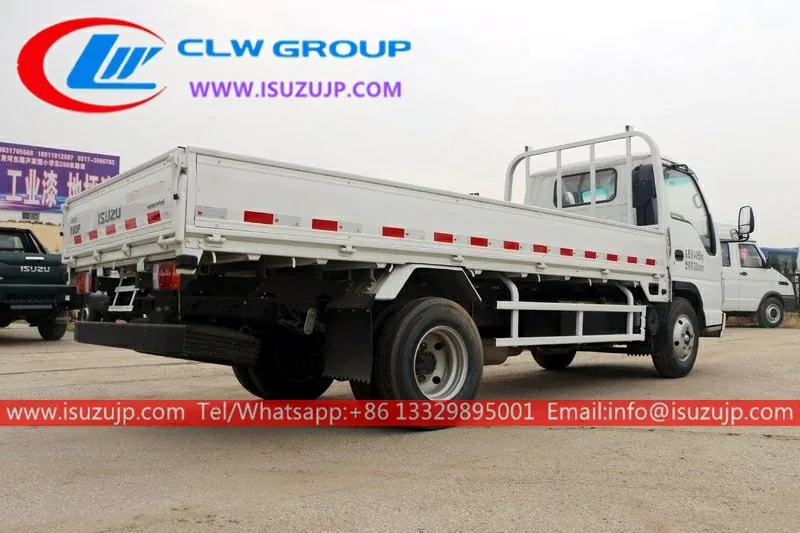 ISUZU NHR 3 Ton Cargo Trucks for Sale Philippines view 4