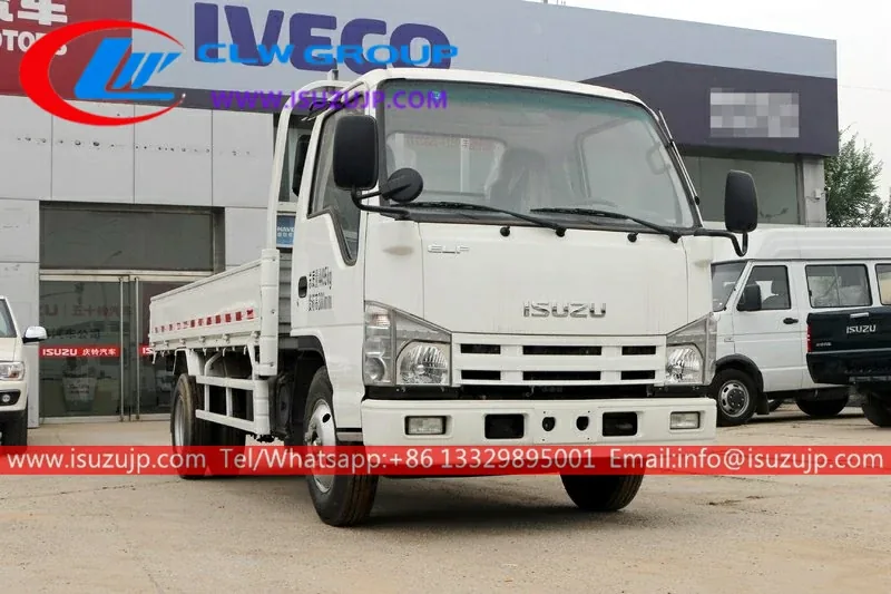 ISUZU NHR 3 Ton Cargo Trucks for Sale Philippines view 3